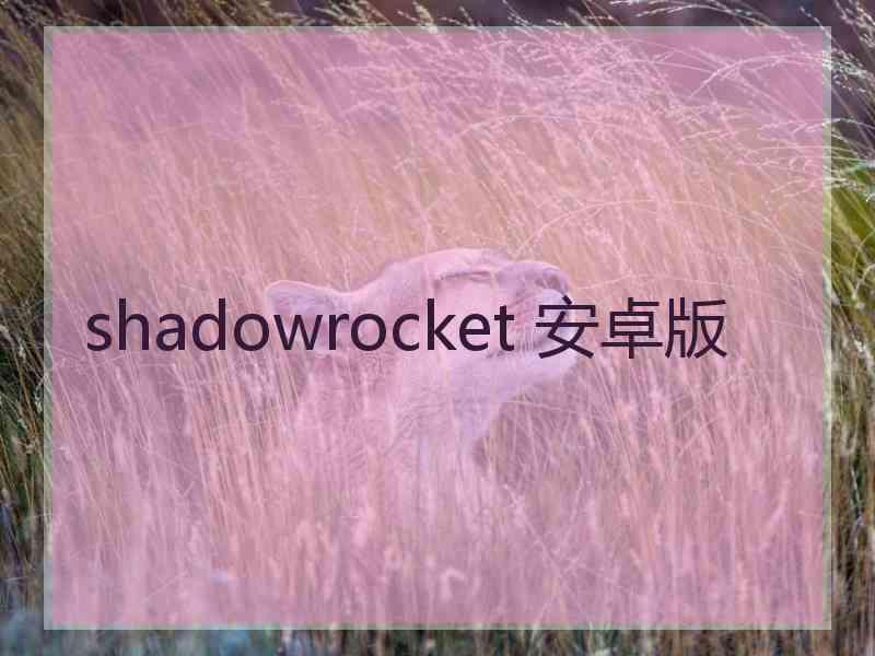 shadowrocket 安卓版