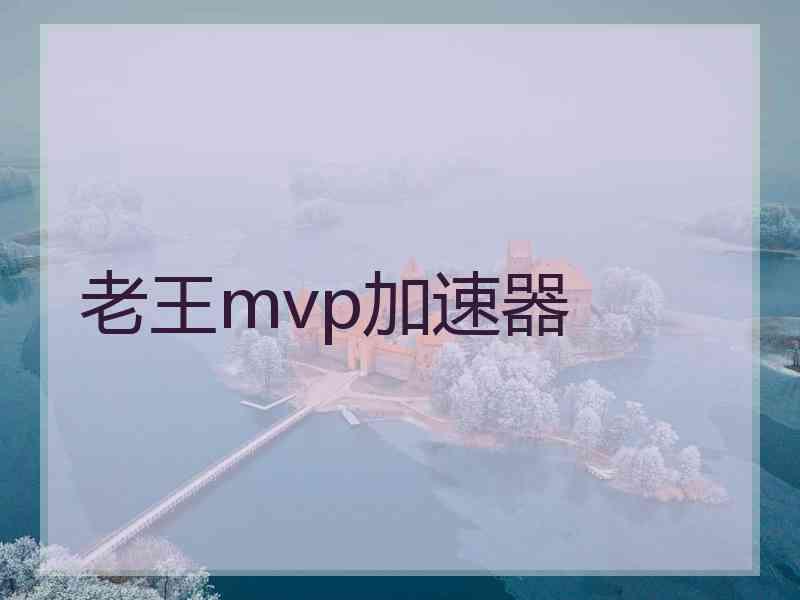老王mvp加速器