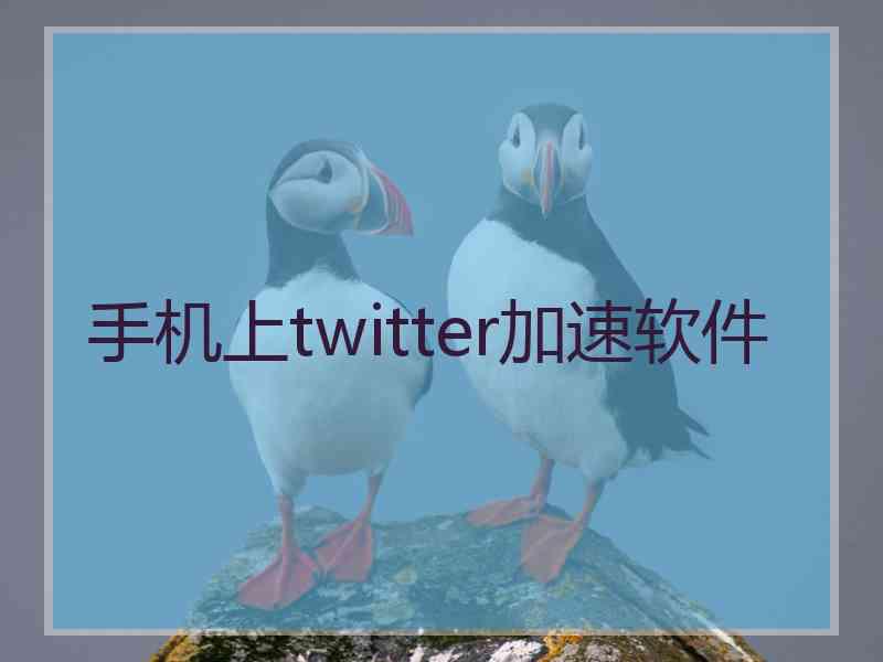 手机上twitter加速软件