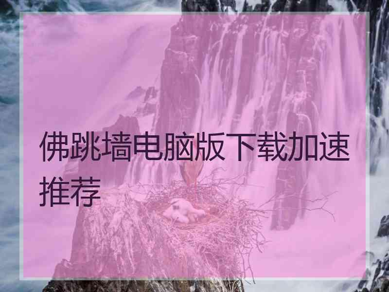 佛跳墙电脑版下载加速推荐