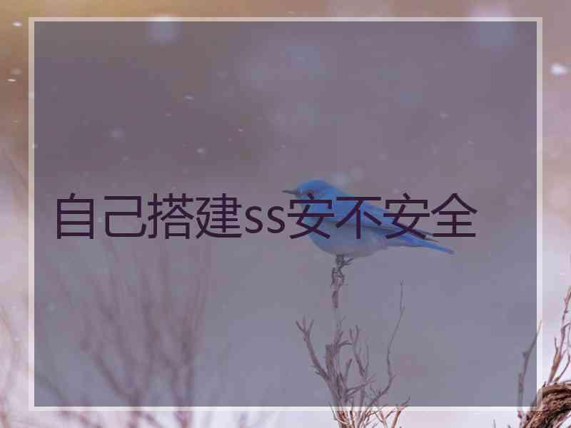 自己搭建ss安不安全