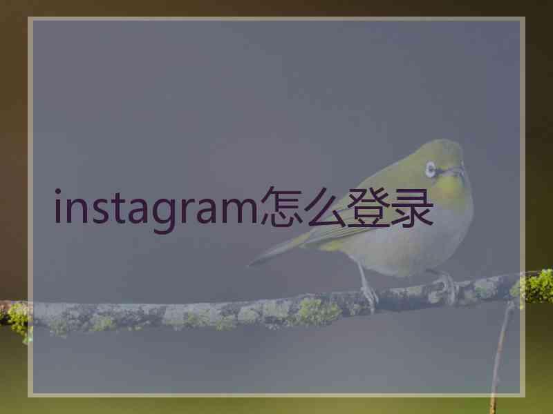 instagram怎么登录