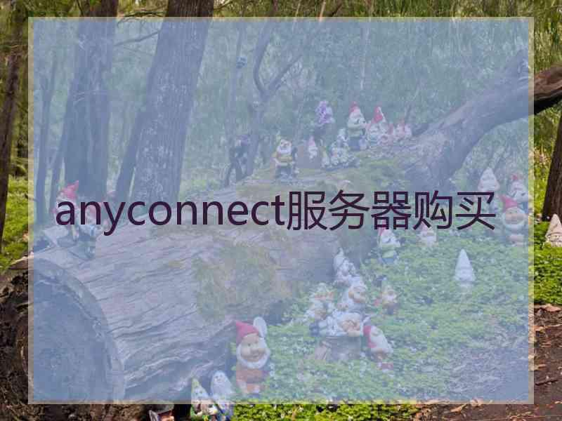 anyconnect服务器购买