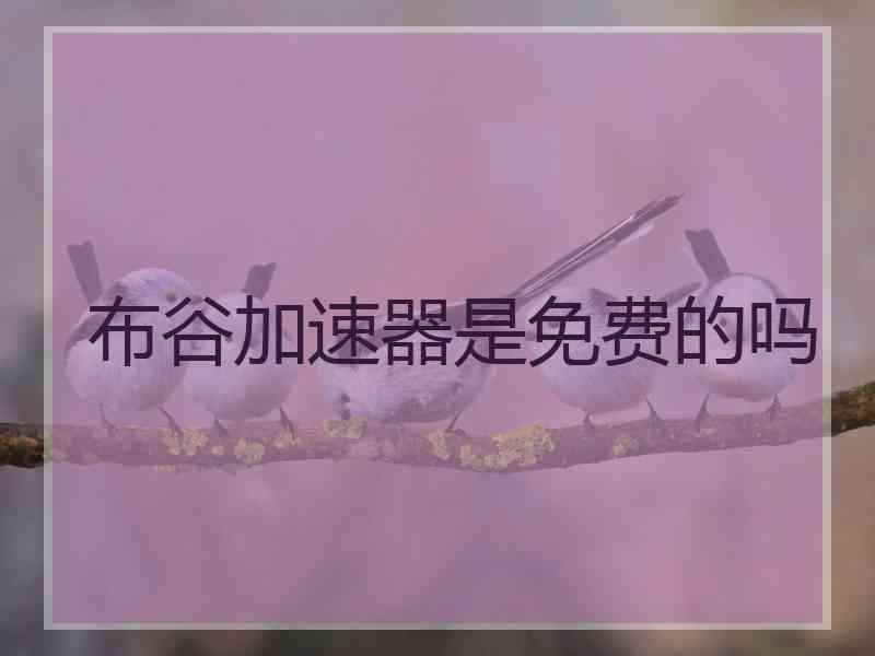 布谷加速器是免费的吗