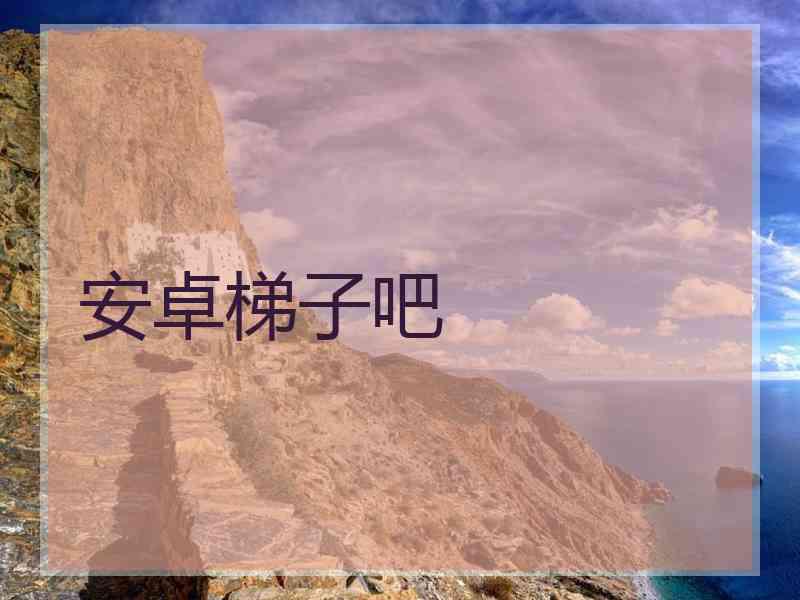 安卓梯子吧