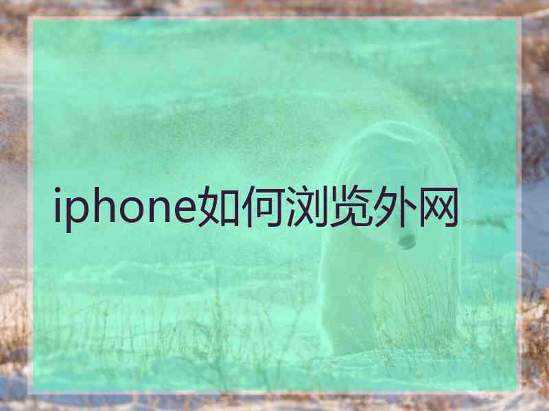 iphone如何浏览外网