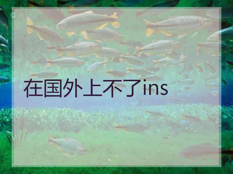 在国外上不了ins
