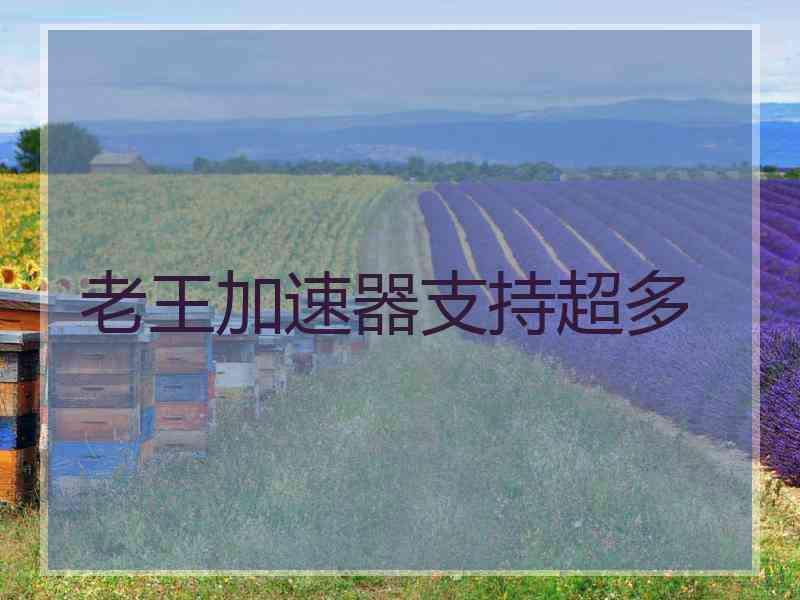 老王加速器支持超多