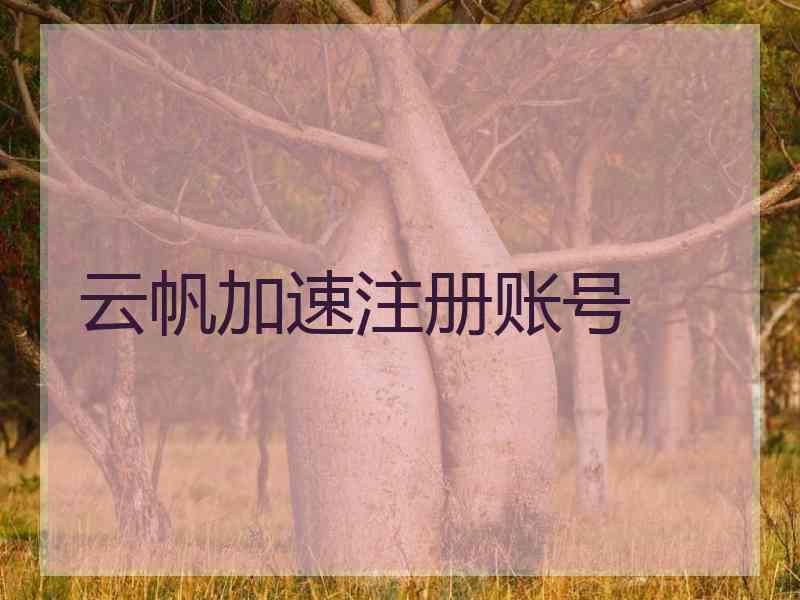 云帆加速注册账号