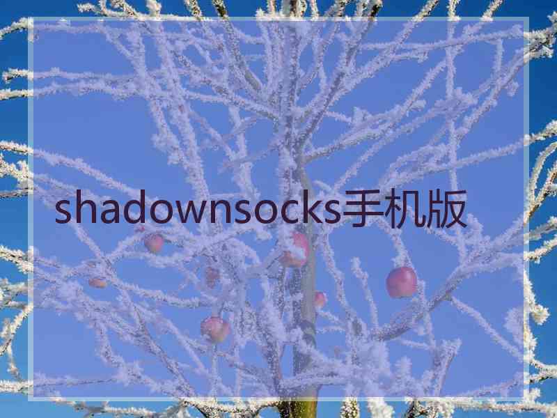shadownsocks手机版
