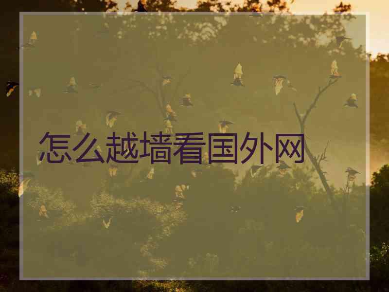 怎么越墙看国外网