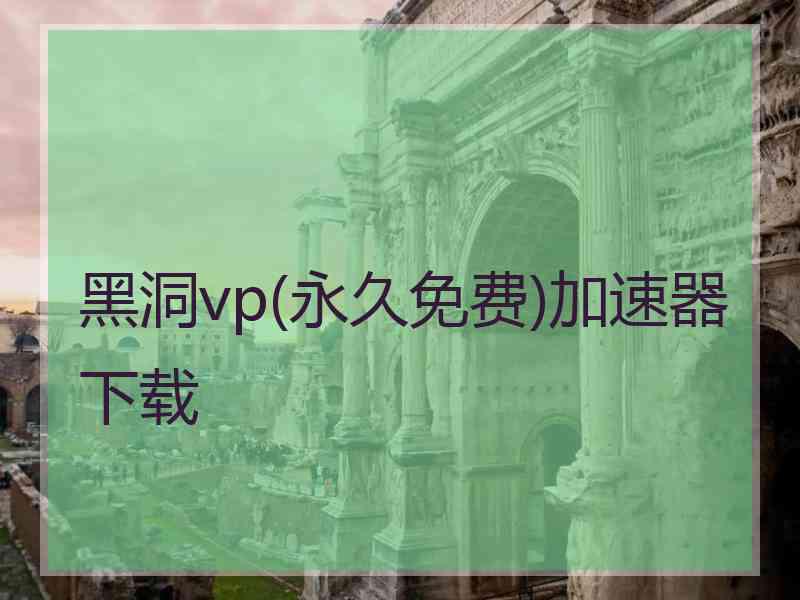 黑洞vp(永久免费)加速器下载