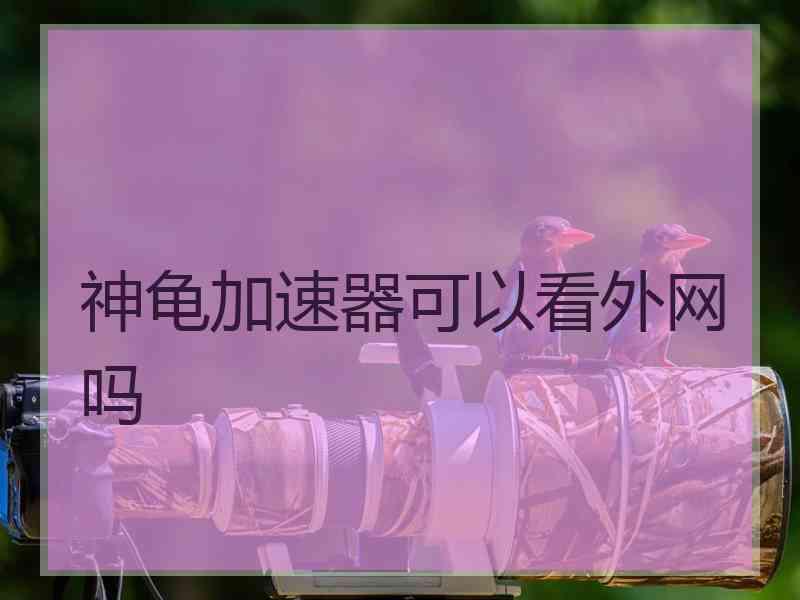 神龟加速器可以看外网吗