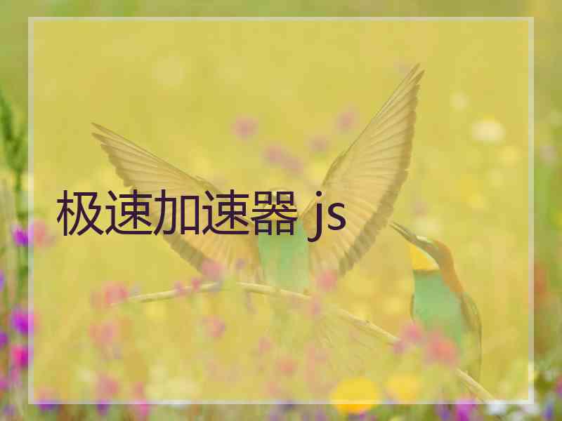 极速加速器 js