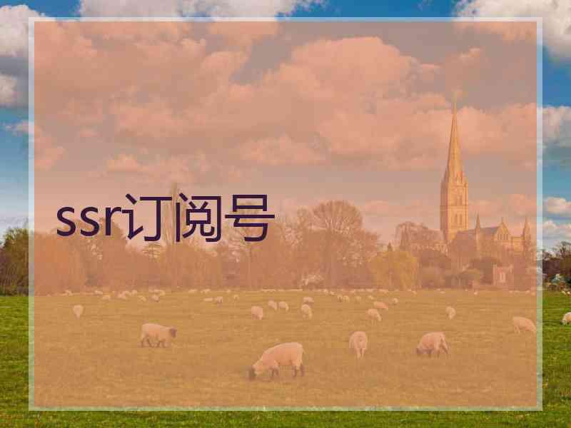 ssr订阅号