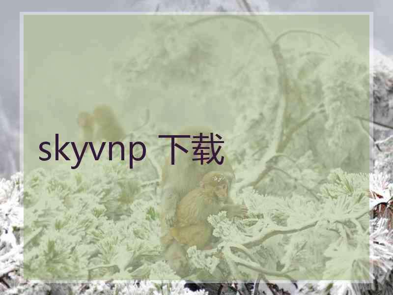 skyvnp 下载