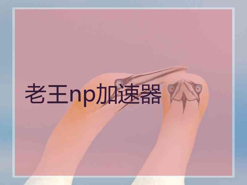 老王np加速器