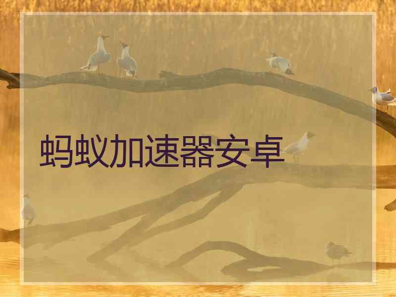 蚂蚁加速器安卓