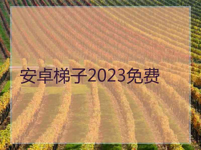 安卓梯子2023免费