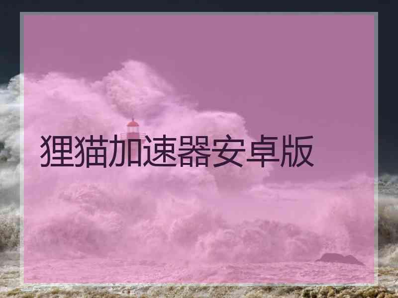 狸猫加速器安卓版