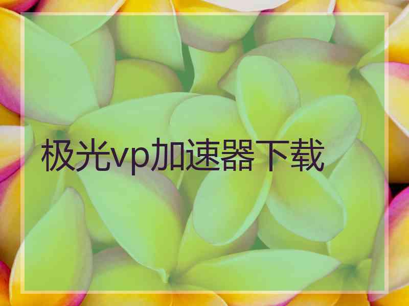 极光vp加速器下载