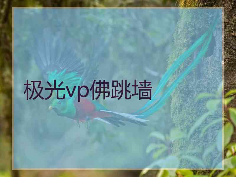 极光vp佛跳墙