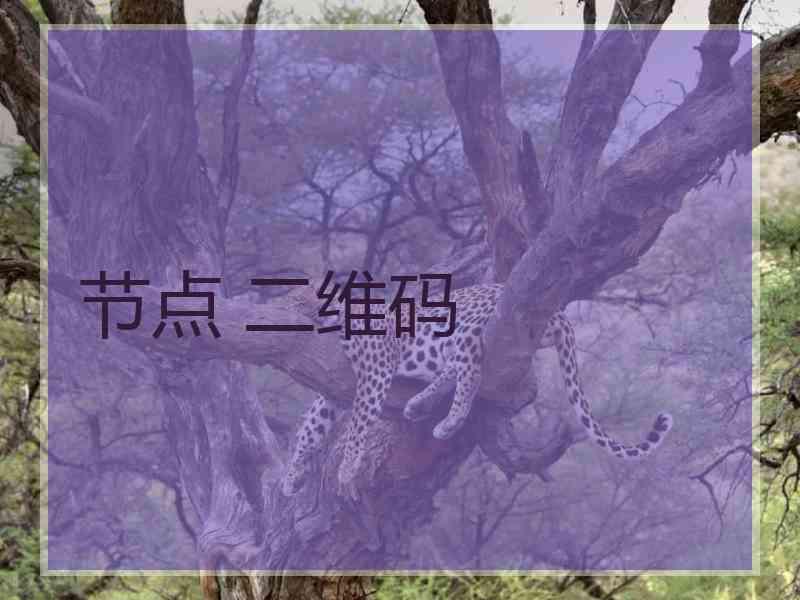 节点 二维码