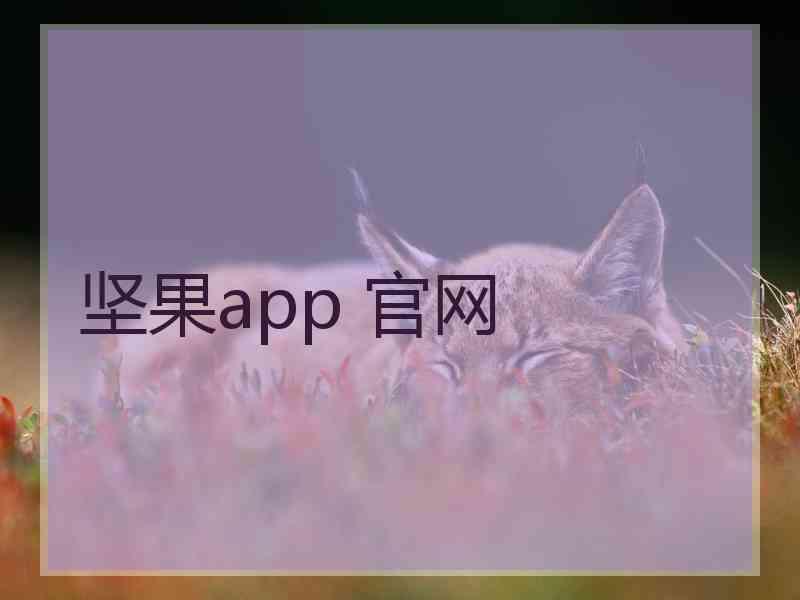 坚果app 官网