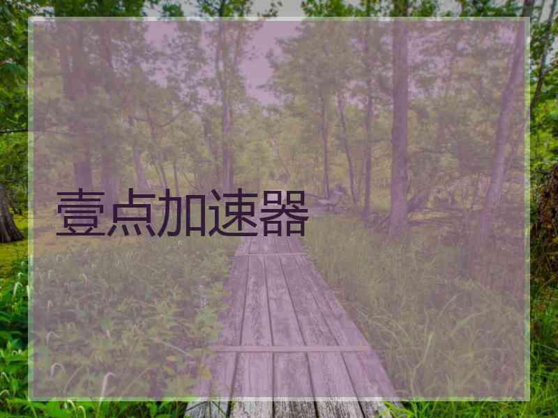 壹点加速器