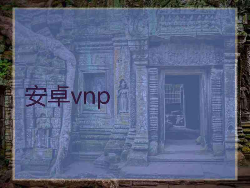 安卓vnp