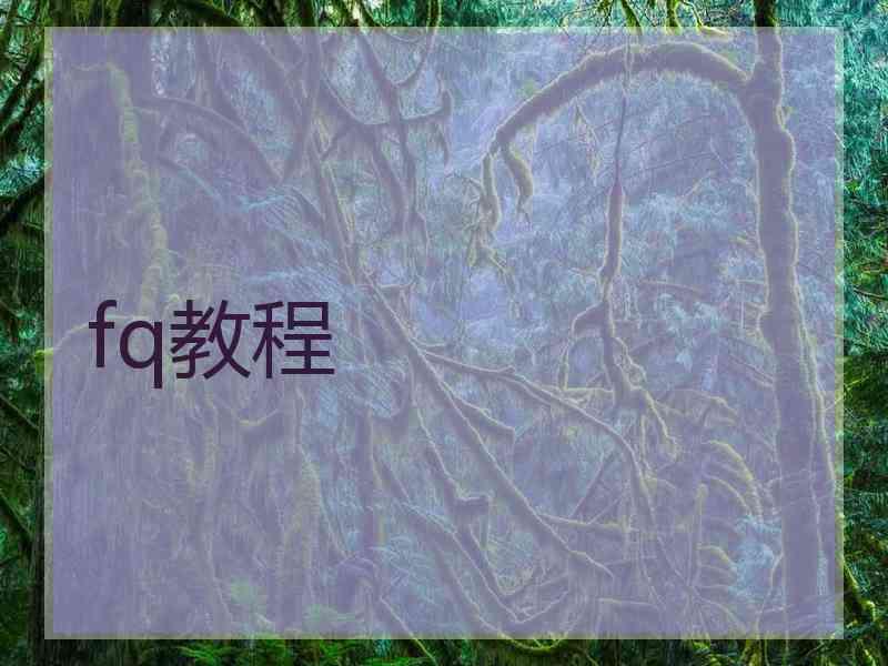 fq教程