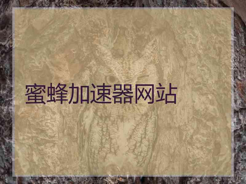 蜜蜂加速器网站