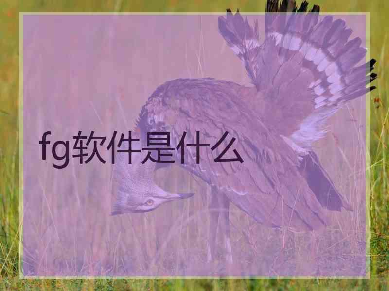 fg软件是什么
