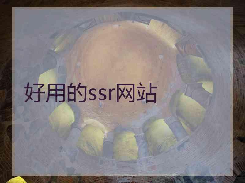 好用的ssr网站