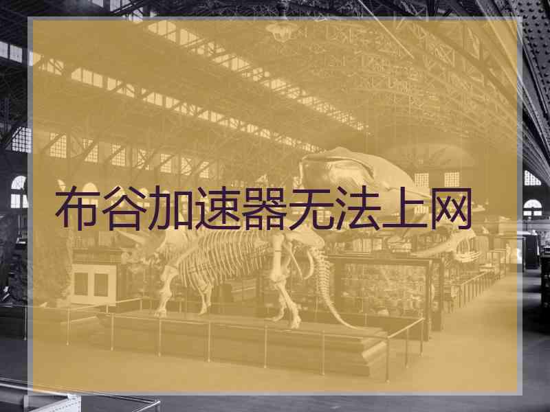 布谷加速器无法上网
