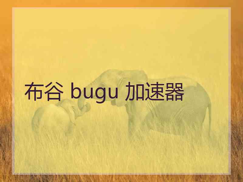 布谷 bugu 加速器