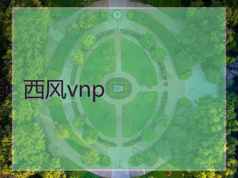 西风vnp