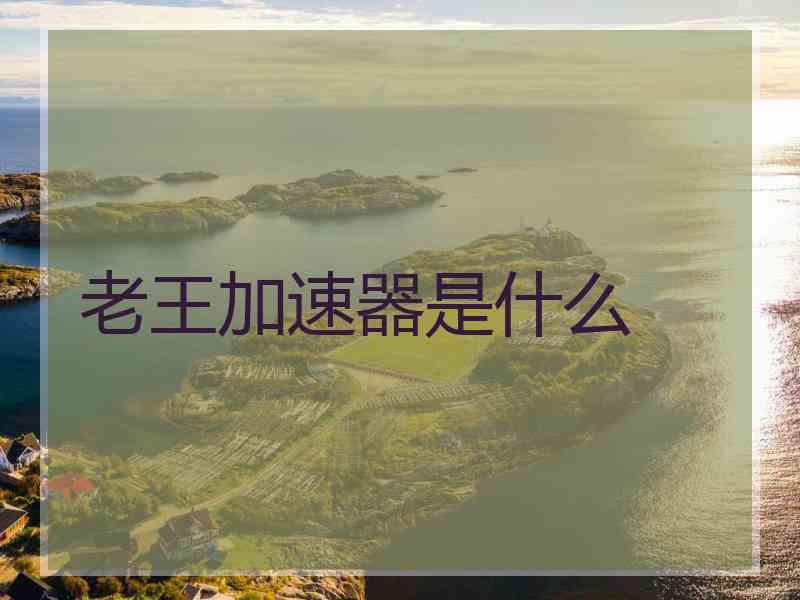 老王加速器是什么