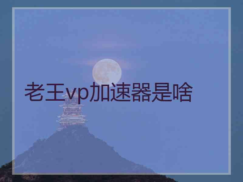 老王vp加速器是啥