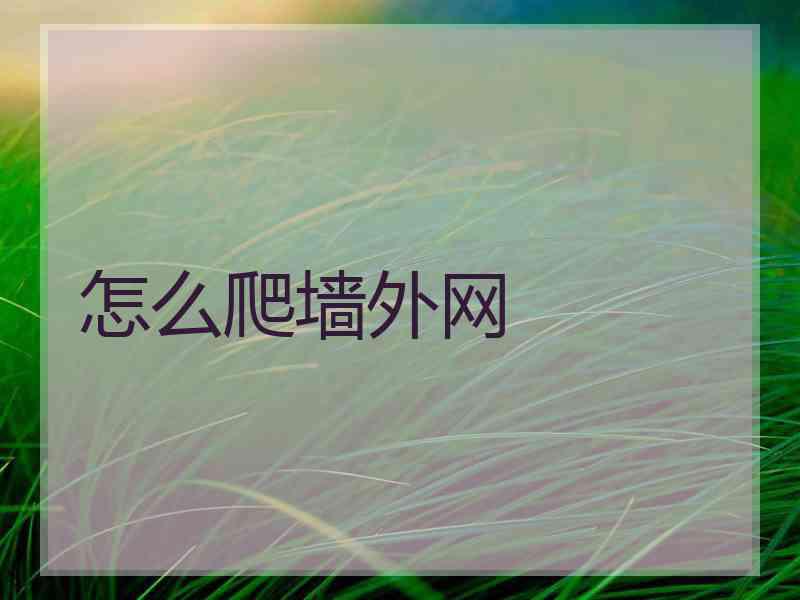 怎么爬墙外网