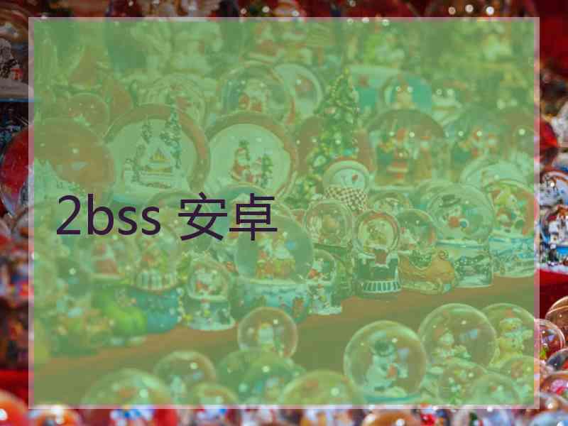 2bss 安卓