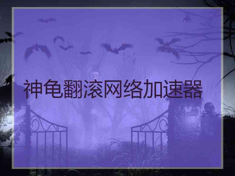 神龟翻滚网络加速器