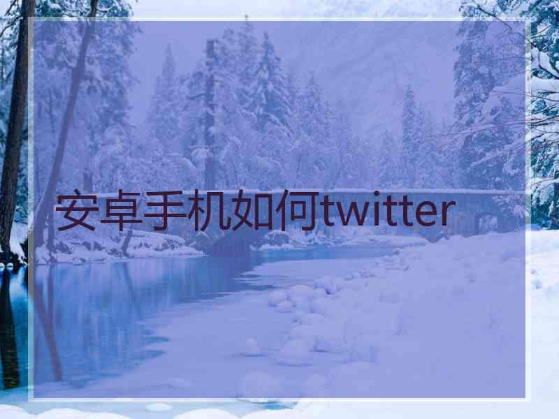 安卓手机如何twitter