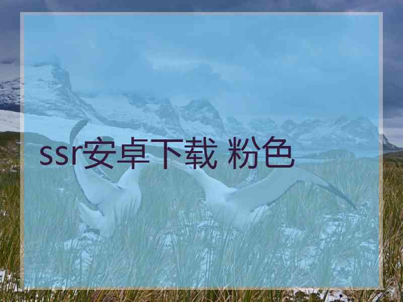 ssr安卓下载 粉色