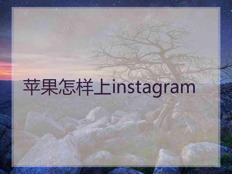 苹果怎样上instagram