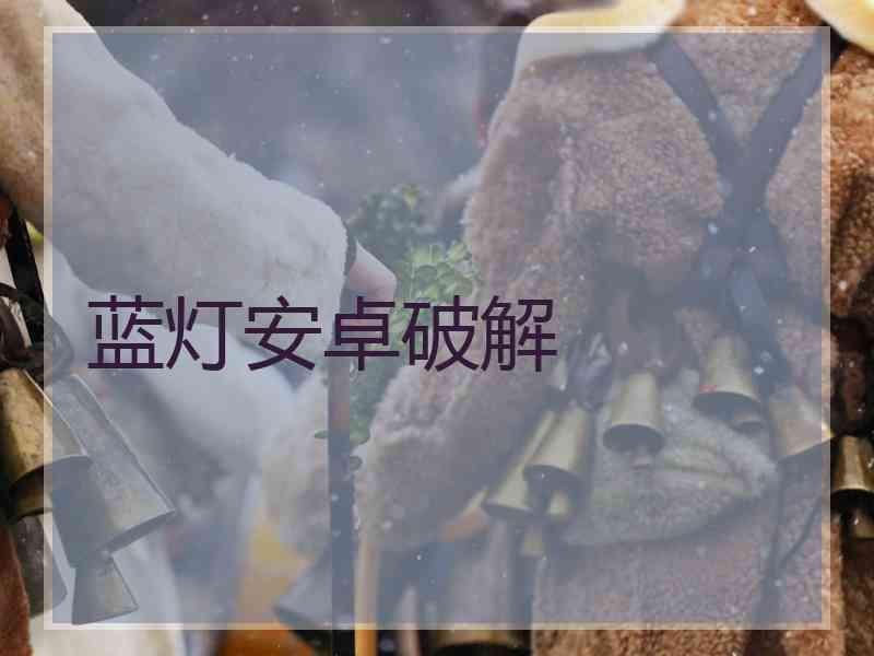蓝灯安卓破解