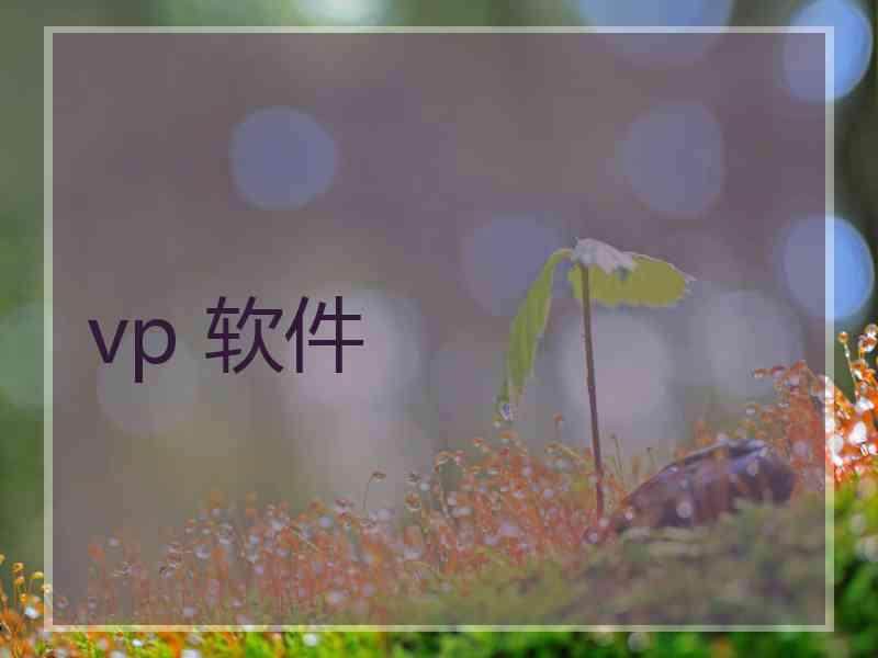 vp 软件