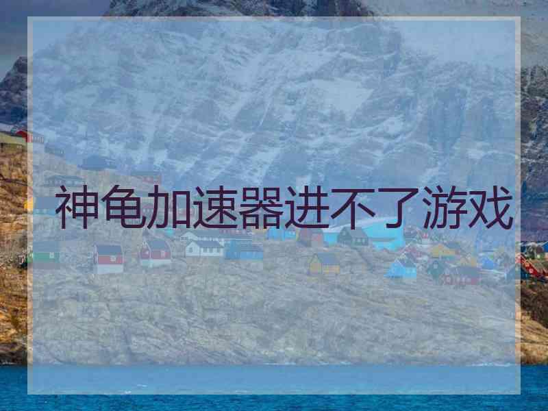 神龟加速器进不了游戏