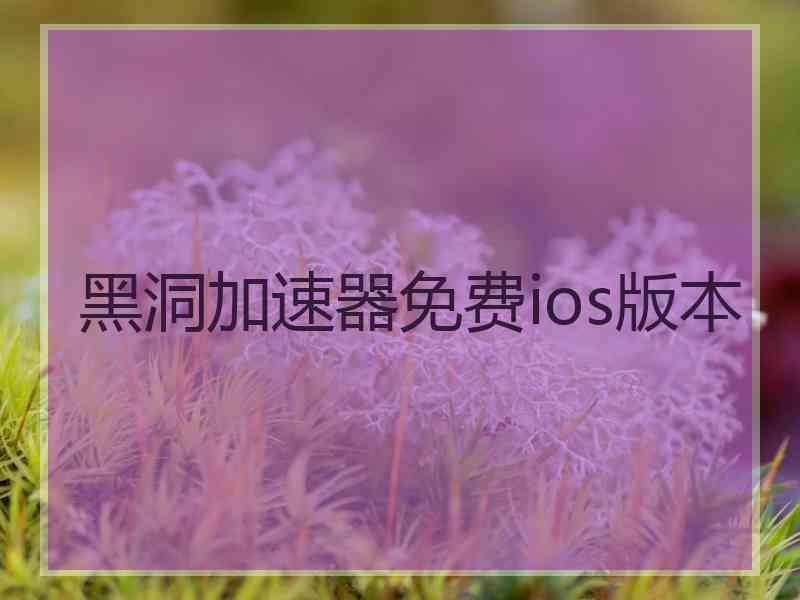 黑洞加速器免费ios版本