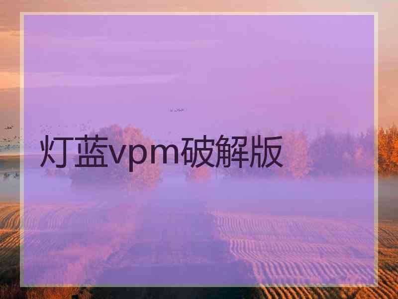 灯蓝vpm破解版